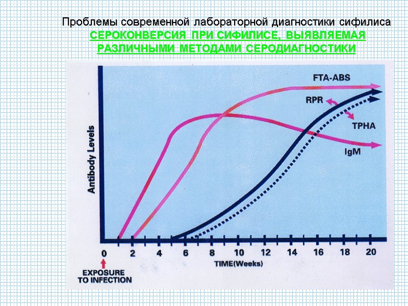 Проблемы современной лабораторной диагностики сифилиса СЕРОКОНВЕРСИЯ ПРИ СИФИЛИСЕ, ВЫЯВЛЯЕМАЯ РАЗЛИЧНЫМИ МЕТОДАМИ СЕРОДИАГНОСТИКИ Проблемы современной лабораторной диагностики сифилиса СЕРОКОНВЕРСИЯ ПРИ СИФИЛИСЕ, ВЫЯВЛЯЕМАЯ РАЗЛИЧНЫМИ МЕТОДАМИ СЕРОДИАГНОСТИКИ